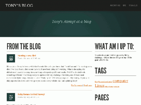 webdesign480