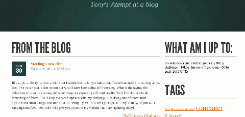 webdesign480